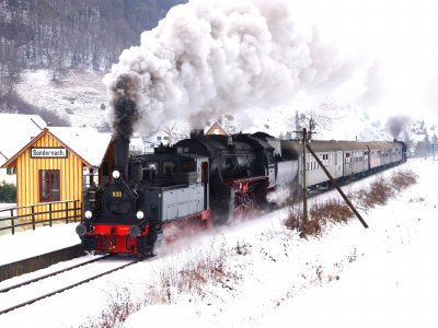 Scheindurchfahrt des EFZ-Dreikönigs-Dampfzuges für Fotofreunde in Sondernach